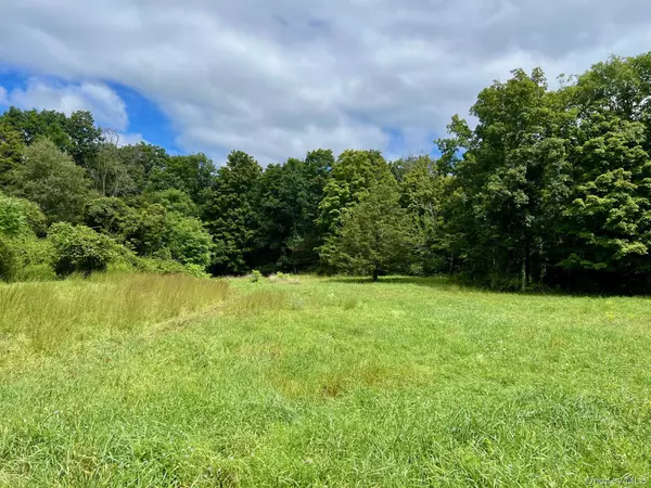 Clinton Corners, NY 12514,544 Willow Brook RD