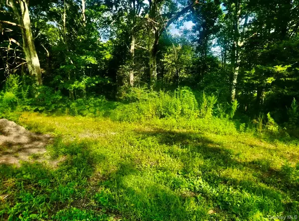 Clinton Corners, NY,12 Talleur Road