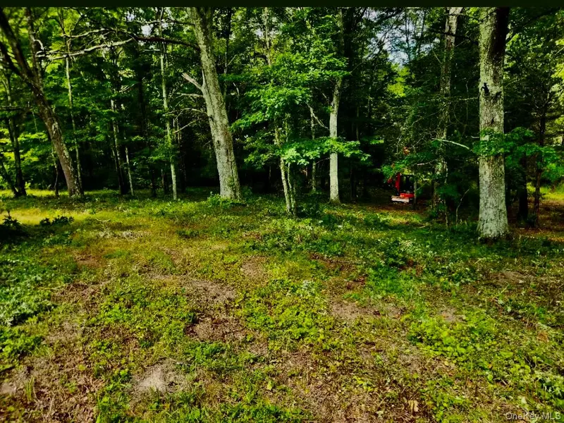 12 Talleur Road, Clinton Corners, NY