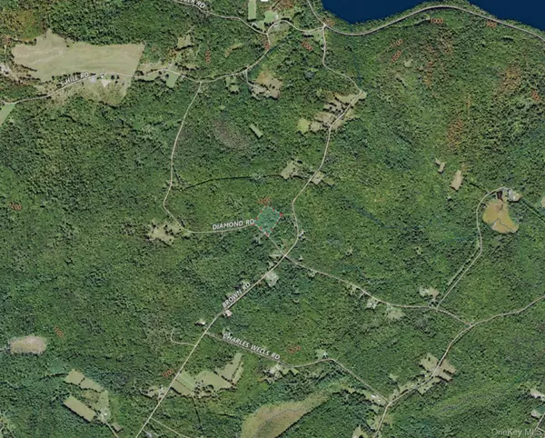 Ellenville, NY 12428,Diamond RD