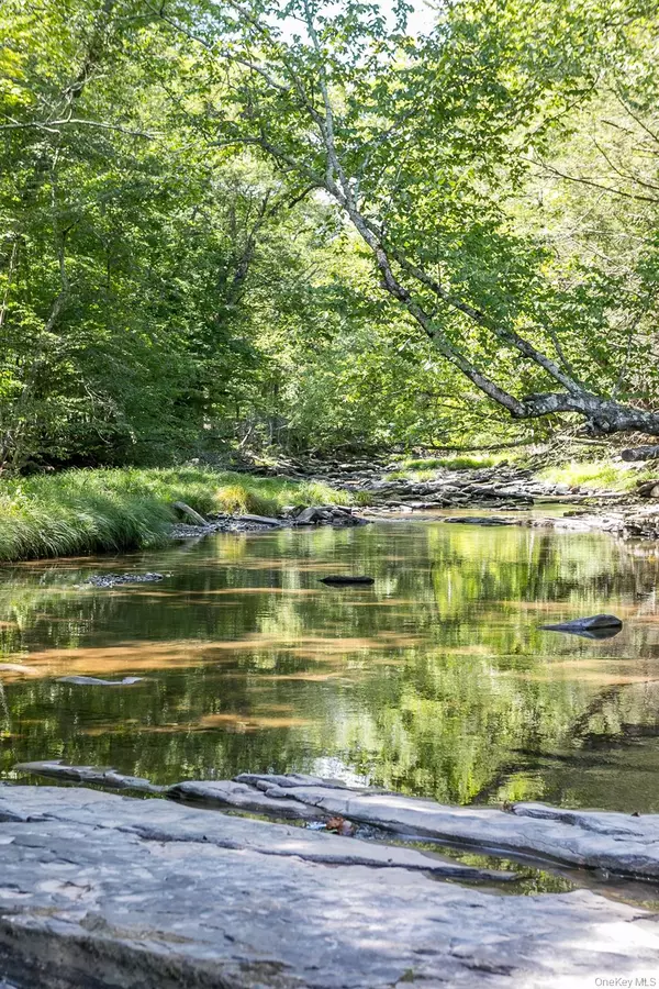 Woodstock, NY 12498,36-38 Ohayo Mountain