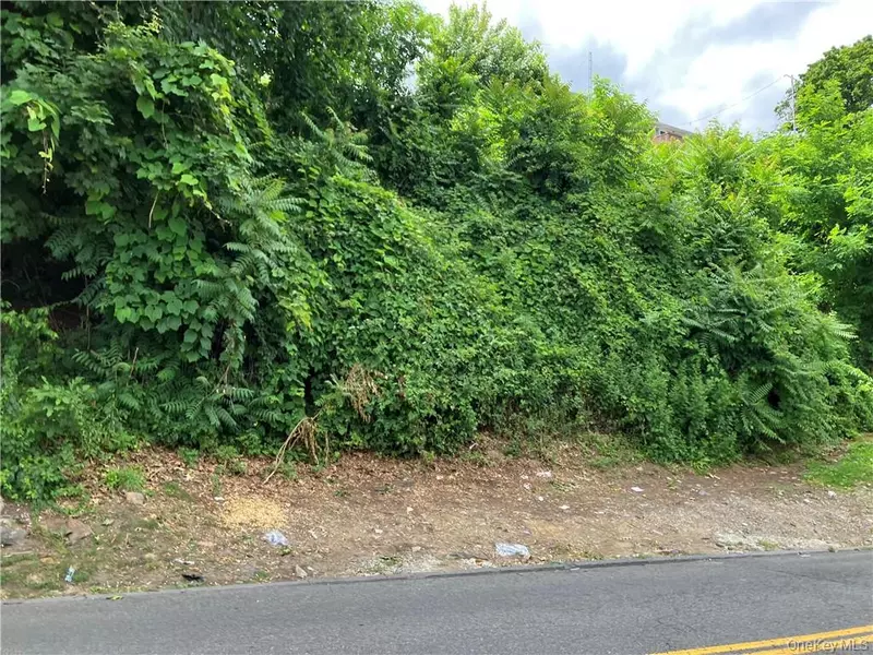 127 -133 Frederic ST, Yonkers, NY 10703