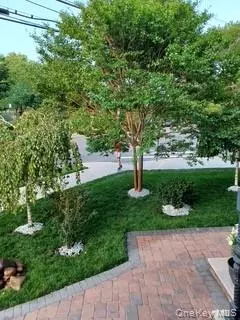 Kew Gardens, NY 11415,127-22 Kew Gardens RD