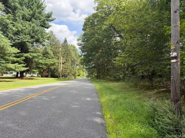 LOT 1 Shoddy Hollow RD, Otisville, NY 10963