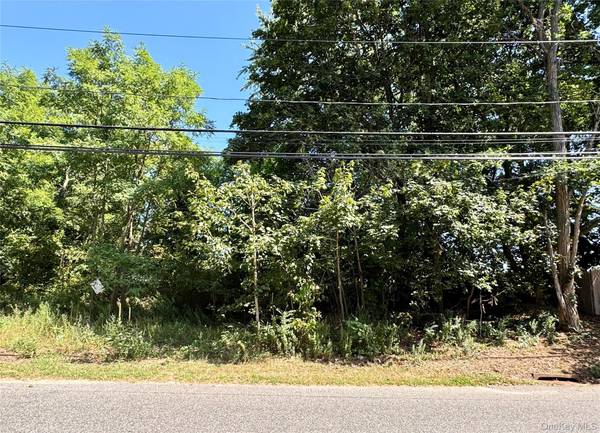 Medford, NY 11763,#189,#191 Mount Vernon Avenue