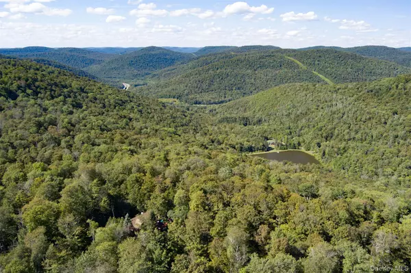 Roscoe, NY 12776,85 Maccabee RD
