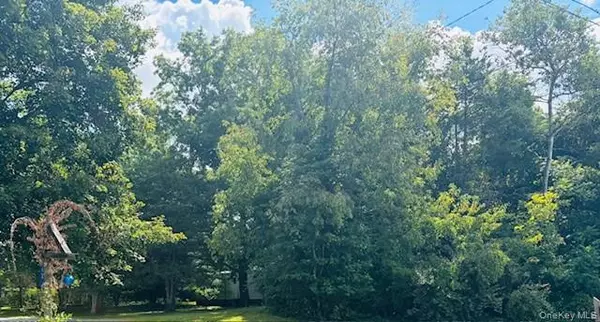 Pine Plains, NY 12567,58 Britton ST