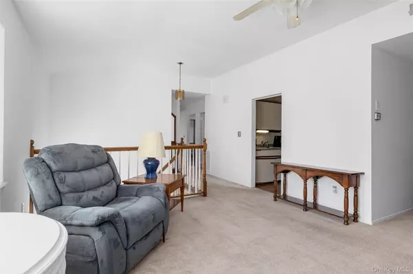 Deer Park, NY 11729,384 W 22nd ST