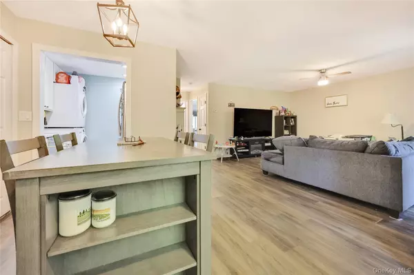 Ronkonkoma, NY 11779,45 Richmond BLVD #4A