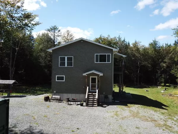451 Breezy Hill RD, Parksville, NY 12768