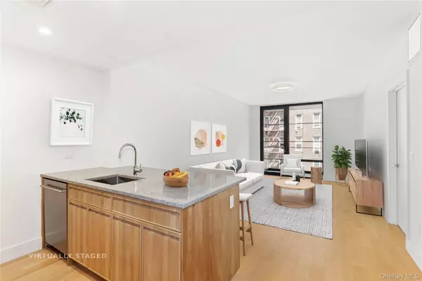 264 Webster AVE #408, Brooklyn, NY 11230