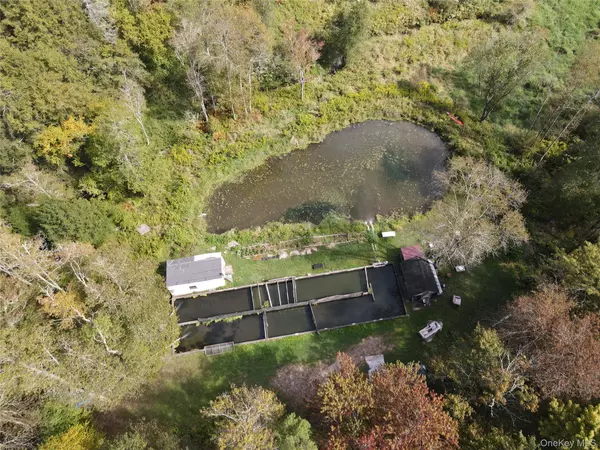 Ferndale, NY 12734,50 Carr RD