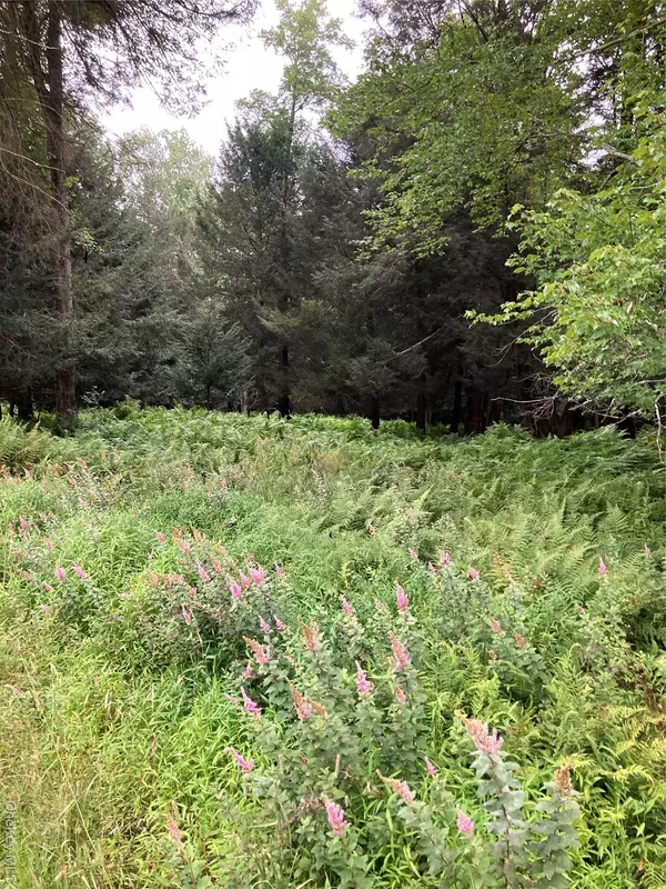 Jaketown RD, Monticello, NY