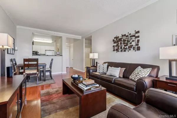 White Plains, NY 10605,300 Mamaroneck #715