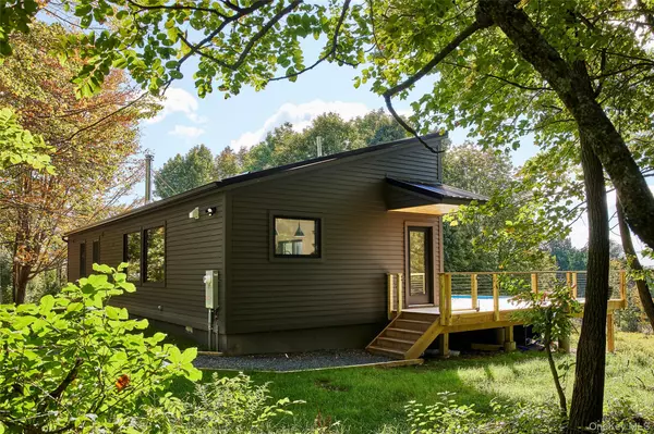 118 Yaun RD, Livingston Manor, NY 12758