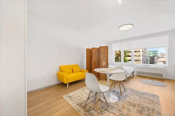 White Plains, NY 10601,8 Chester AVE #209
