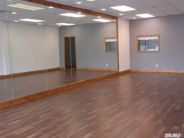 Syosset, NY 11791,231 Robbins LN #6