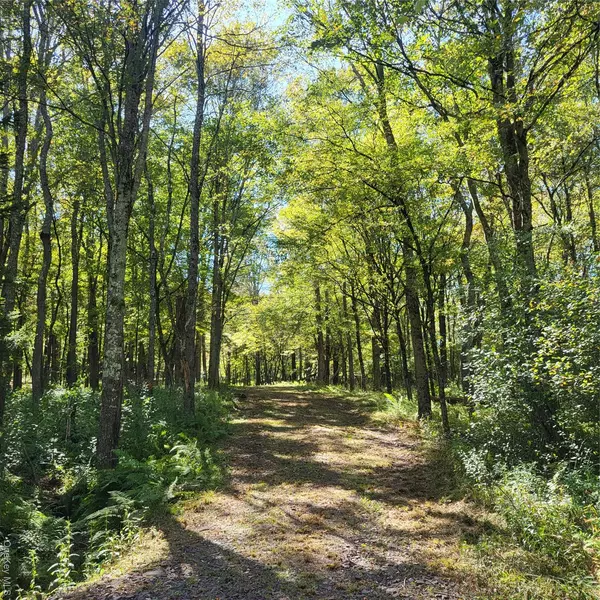 Swan Lake, NY 12720,TBD Stephenson RD