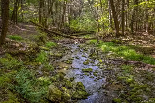 Kerhonkson, NY,187 Rocky Mountain RD