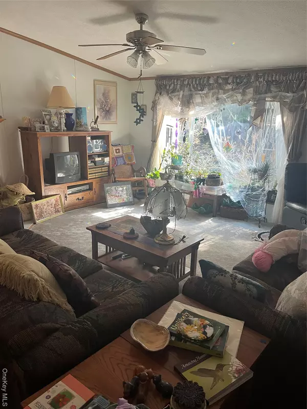 Fallsburg, NY 12779,23 Davis LN