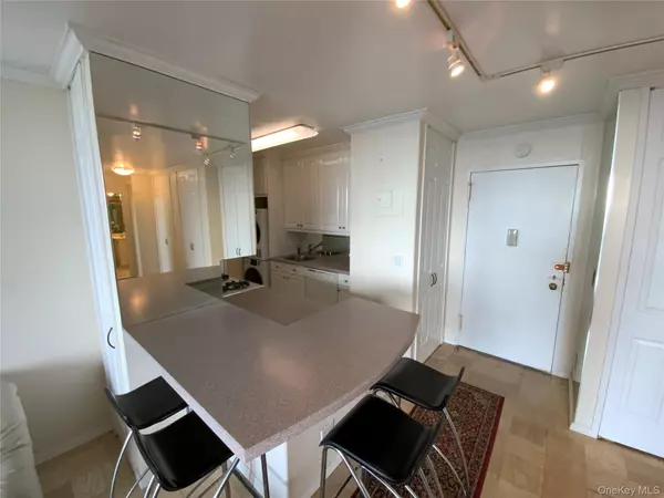 Floral Park, NY 11005,27110 Grand Central Parkway #9T