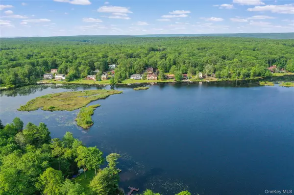Rock Hill, NY 12775,119 Lake Shore DR