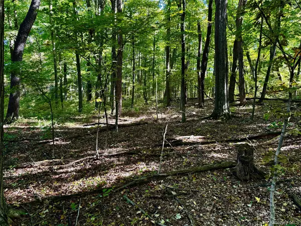 Lagrangeville, NY 12569,Freedom RD