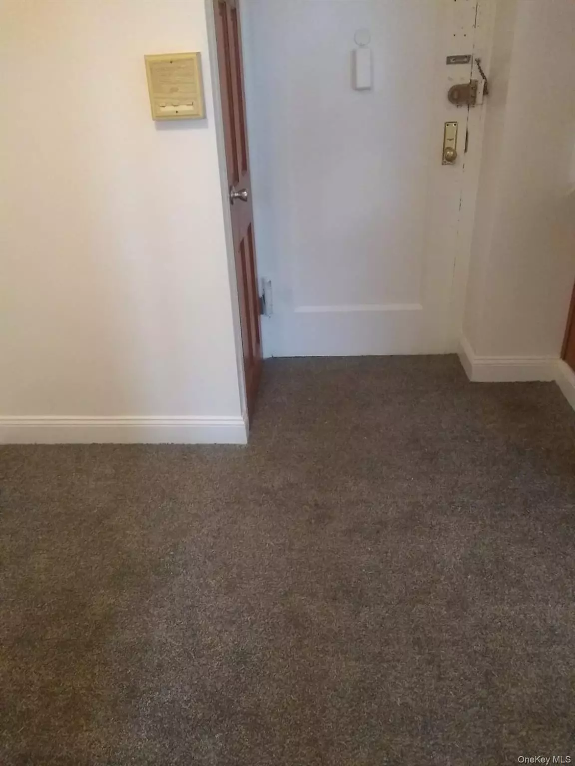 Bronx, NY 10462,1718 Purdy ST #3D