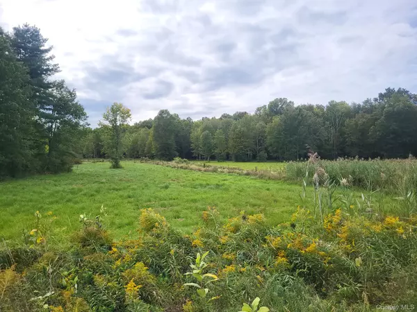 Middletown, NY 10940,328 Bloomingburg RD