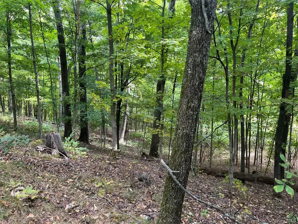 Clinton Corners, NY 12514,TBD Cold Spring RD