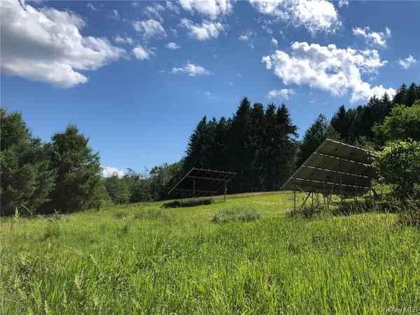 Livingston Manor, NY 12758,446 Shandelee RD