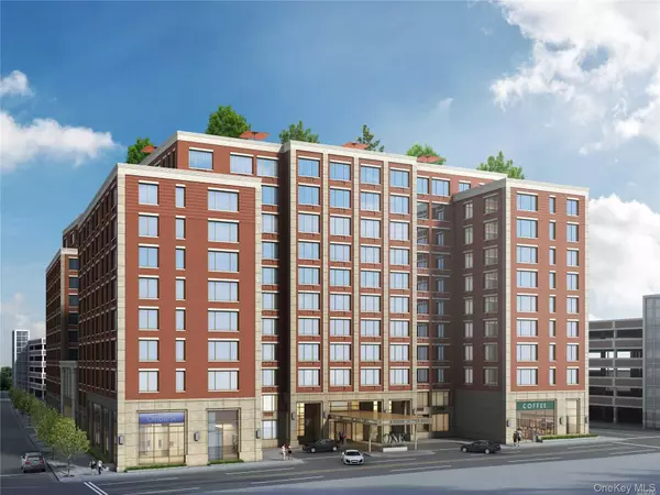 1 Third #1033, Mineola, NY 11501