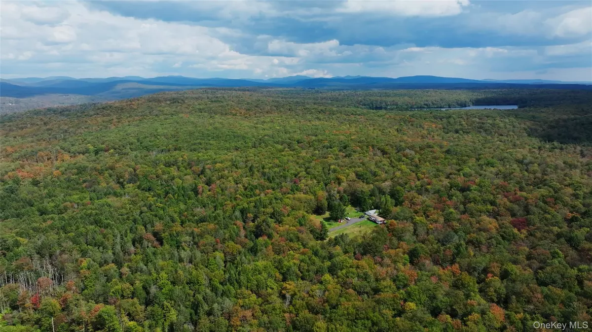 Middletown, NY 12768,480 Breezy Hill RD