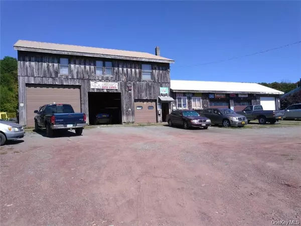 79 Elk Point RD #83, Liberty, NY 12758