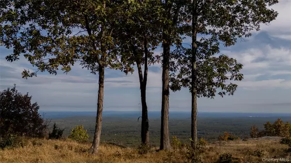 Woodstock, NY 12498,326 Raycliffe DR