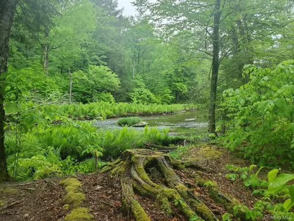 Mongaup Valley, NY 12720,TBD Creamery RD