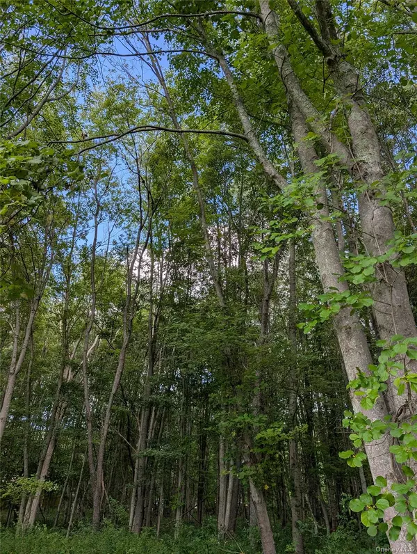 Copake, NY 12516,Cr-27