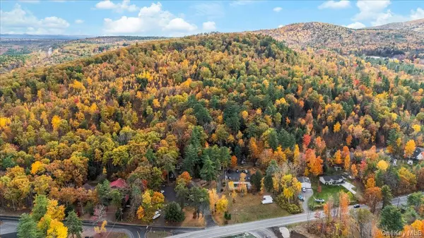 Lake George, NY 12845,2354 Rt 9n