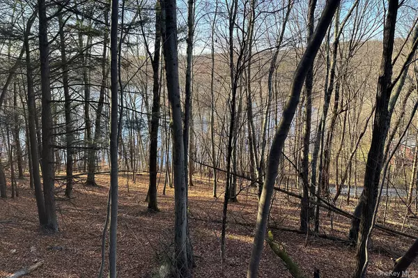 Clinton Corners, NY 12514,65 Patricia LN
