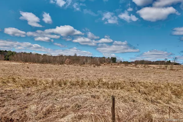 Cochecton, NY 12726,Lot 17.9 Shortcut Road