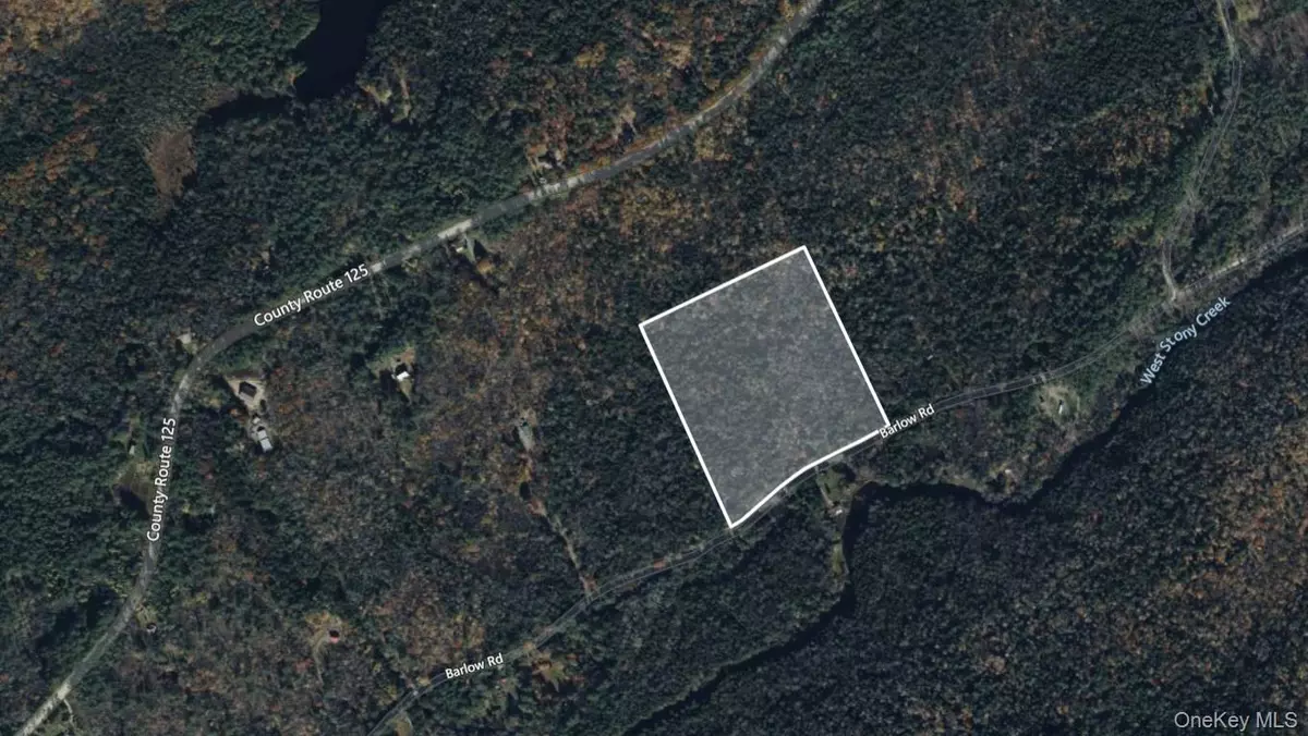 Call Listing Agent, NY 12078,L42 Barlow RD