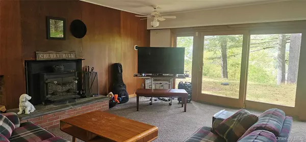 Sparrowbush, NY 12493,9 Cherry Hill LN