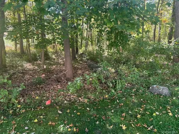 Cortlandt Manor, NY 10567,Lot 16 Buttonwood AVE