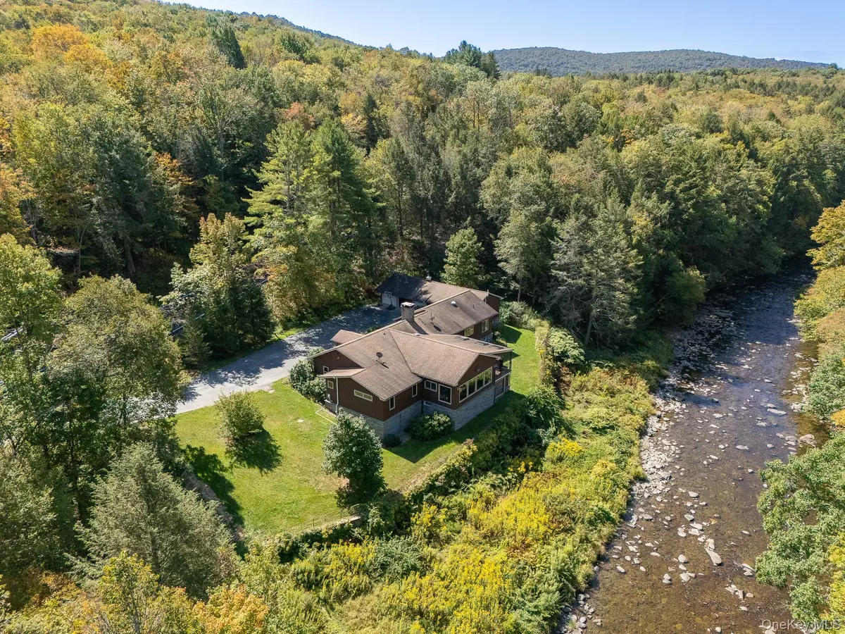 Livingston Manor, NY 12758,1009 Beaverkill RD