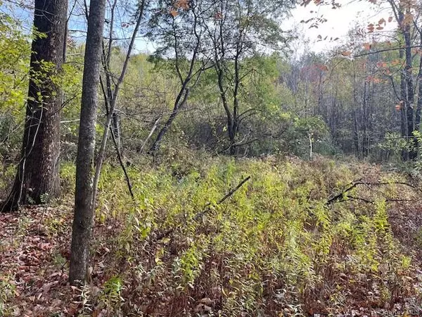 Liberty, NY 12754,Ferndale Loomis RD