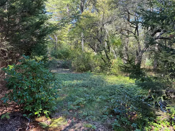 Pound Ridge, NY 10576,98 Eastwoods RD