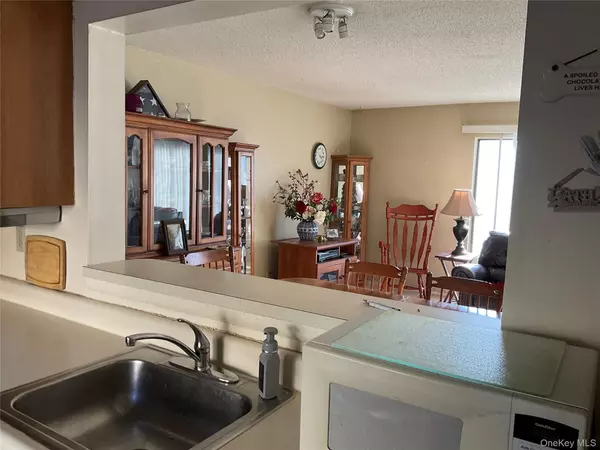 Hopewell Junction, NY 12533,706 S Chelsea Cove #706