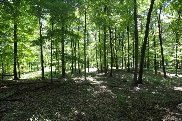 Kingston, NY 12487,458 Lucas AVE