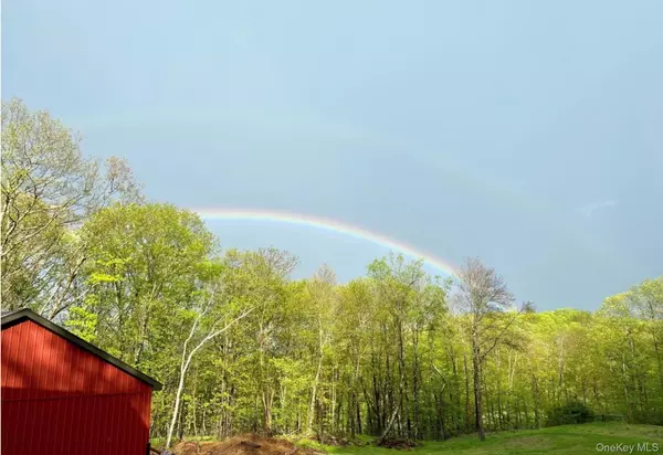 Hillsdale, NY 12529,30 Ridge LN