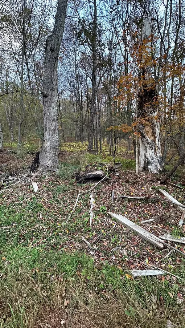 Fallsburg, NY 12733,TBD Hysana RD